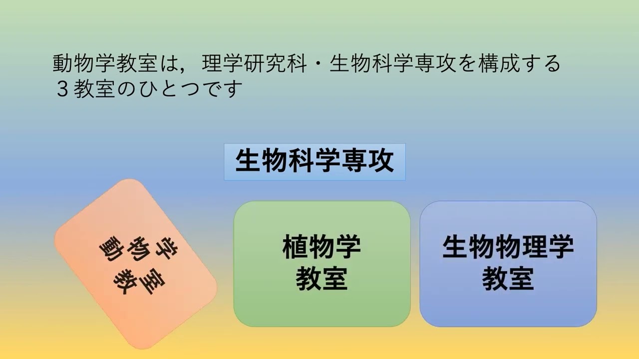 オープンキャンパス　動物学教室紹介 | KyotoU Channel