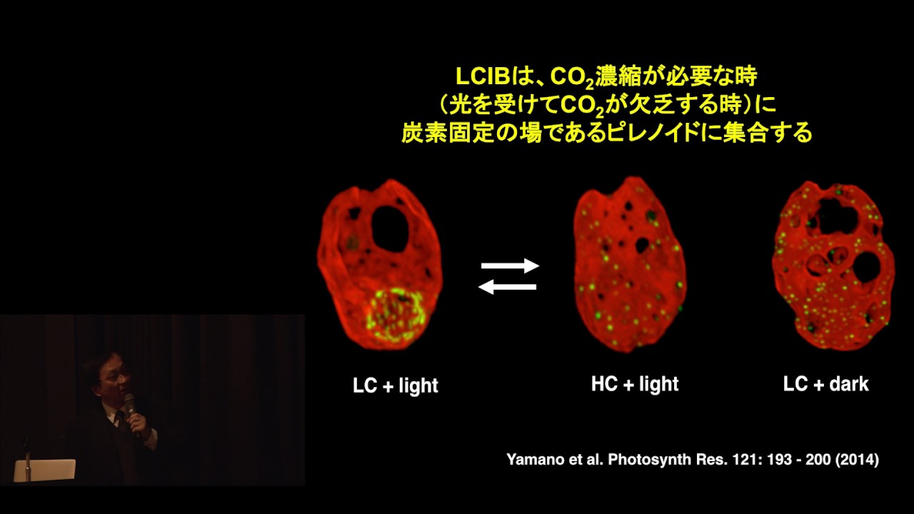京都大学生命科学研究科入学試験説明会 [微生物細胞機構学] 福澤 秀哉 教授 2017年4月1日 | KyotoU Channel