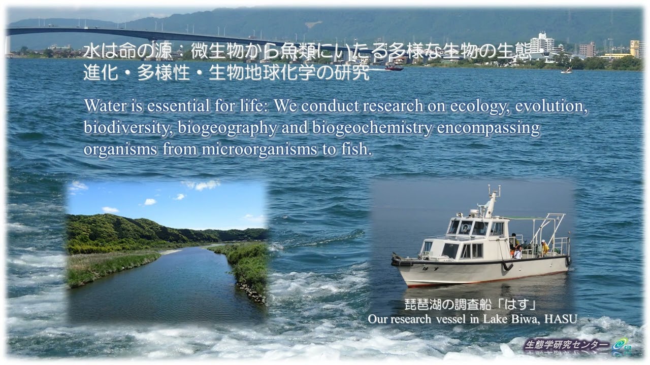 京都大学部局紹介映像【生態学研究センター】 Introduction Video Center for Ecological Research, Kyoto University | KyotoU Channel